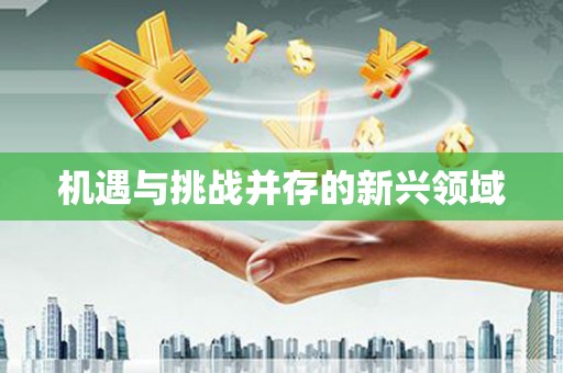 永登机遇与挑战并存的新兴领域