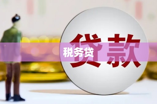 永登税务贷