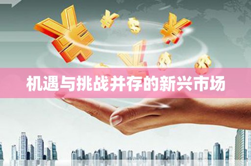 永登机遇与挑战并存的新兴市场