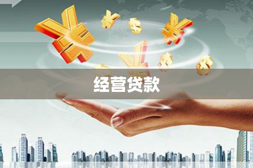 永登经营贷款
