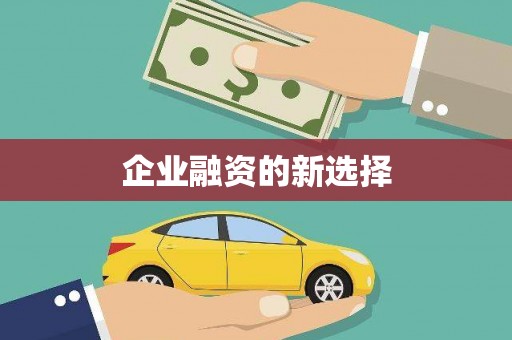 永登企业融资的新选择
