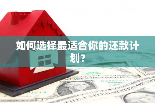 永登如何选择最适合你的还款计划？