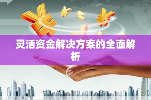 永登灵活资金解决方案的全面解析