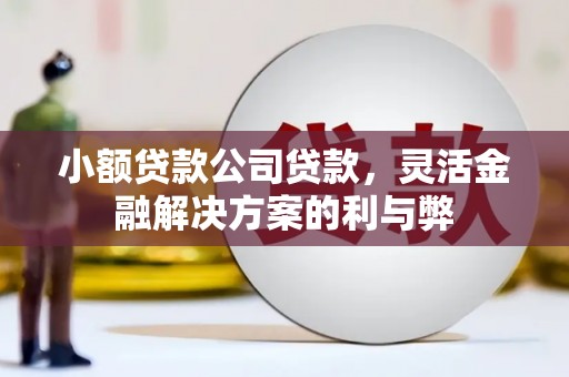 永登小额贷款公司贷款，灵活金融解决方案的利与弊