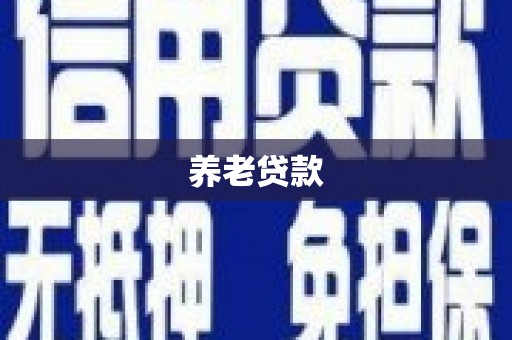 永登养老贷款