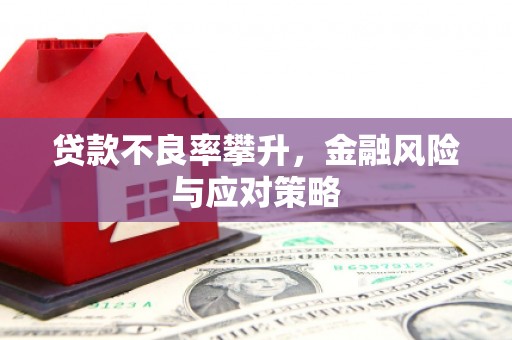 永登贷款不良率攀升，金融风险与应对策略