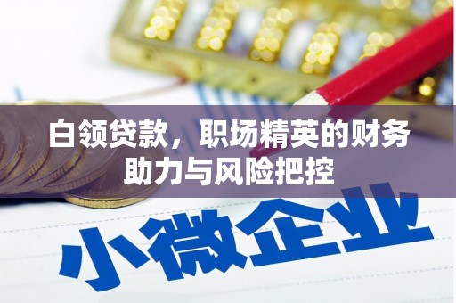 永登白领贷款，职场精英的财务助力与风险把控